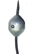 Float with Weight Kit